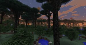 The Twilight Forest