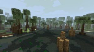 Biomes O Plenty новые биомы