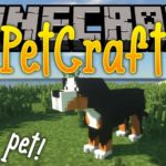 Pet Craft новые домашние животные