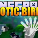 Exotic Birds экзотические птицы