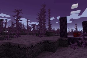 Defiled Lands - оскверненные биом
