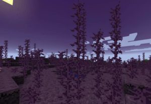 Defiled Lands - оскверненные биом