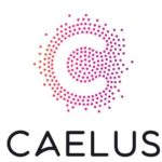 Caelus API ядро