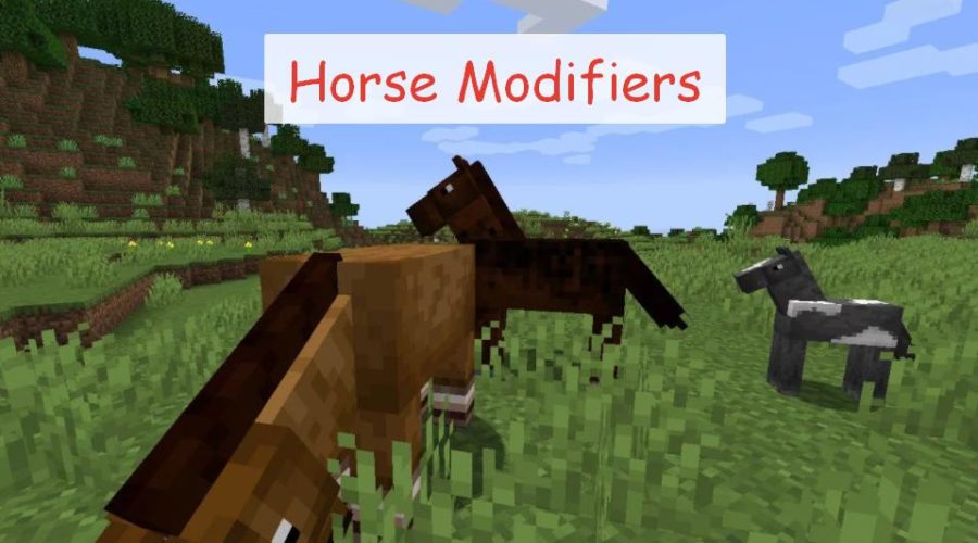 Horse Modifiers прокачка лошади