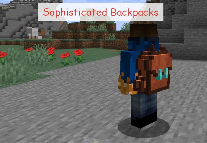 Sophisticated Backpacks улучшенные рюкзаки