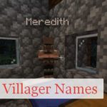 Villager Names имена у деревенских жителей