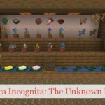 Terra Incognita: The Unknown Land