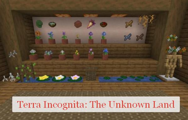 Terra Incognita: The Unknown Land