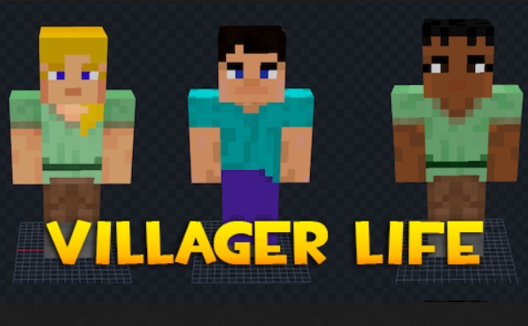 Villager Life реалистичные деревенские жители