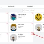 Расширение для удаления друзей в Роблокс
