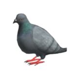 Самые маленькие скины для Роблокс Брукхейвен