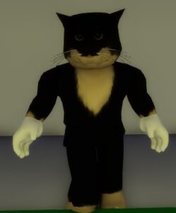 Скин кота для брукхейвен